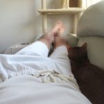 隙間に潜り込むアビのすけ。