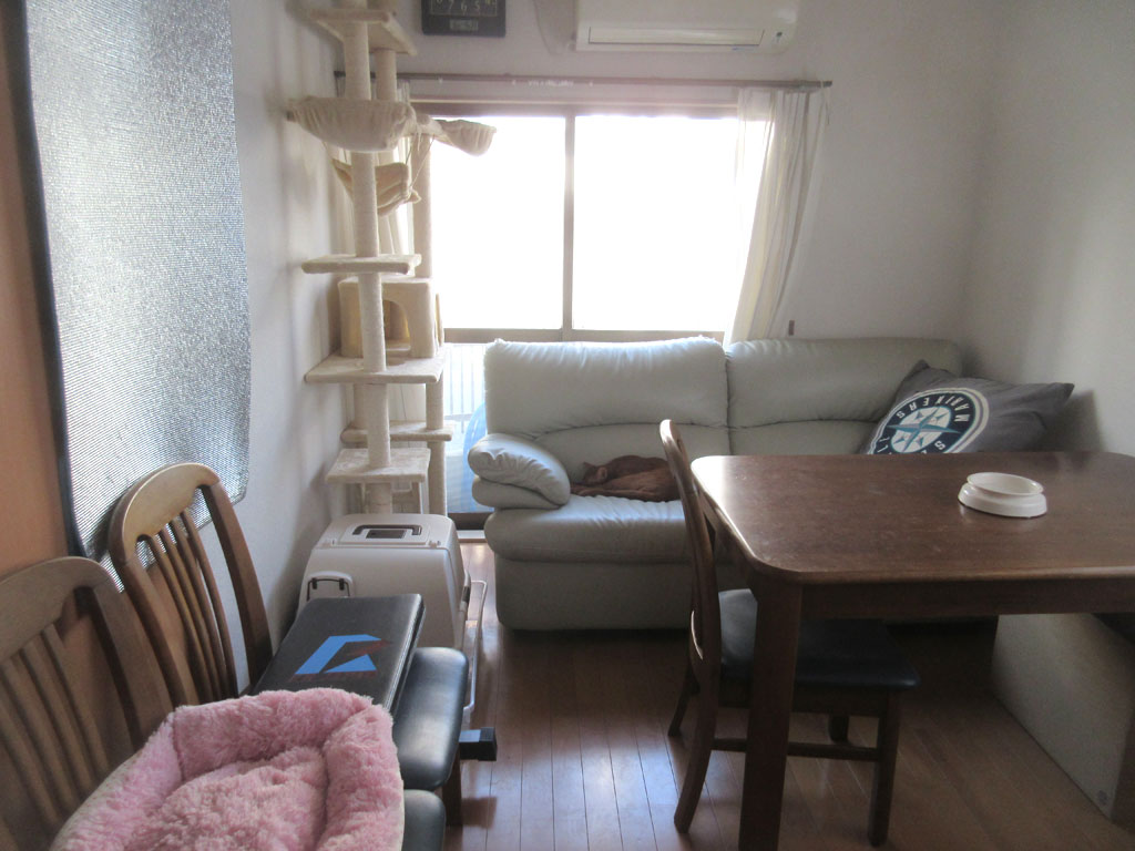 その後のアビのすけ君。