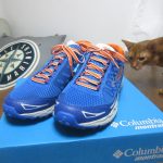 お邪魔虫なアビのすけ君。