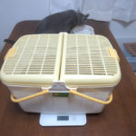 アビのすけの体重測定。