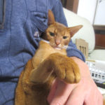 10/13(土)の晩10時前のアビのすけ。