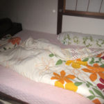 マイペースなアビのすけ君。