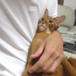 10/3(水)の朝4時52分のアビ。