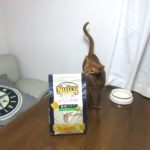 アビのすけとニュートロ。