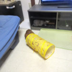 頭隠して尻隠さず。