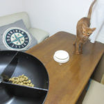 今朝のアビのすけ。