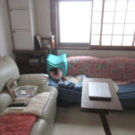 寝不足だったアビのすけ。