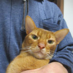 12/7(金)のアビのすけ君。