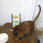 年末に届いたニュートロ。