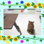 なのはなさんからの写真。