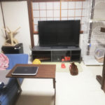 おとといのアビのすけ君。