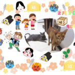 菜の花さんからの写真。