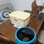 今日の朝ご飯のアビのすけ。