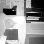 一人で寝ていたアビのすけ。