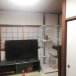 アビのすけ君。