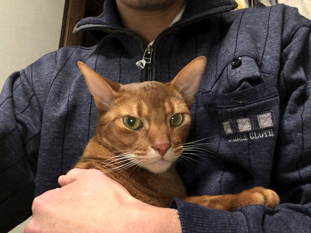 渋く写ってたアビのすけ。