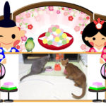 なのはなさん。