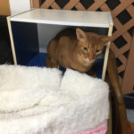 ‎iPhone-2019‎0‎404_1124-1