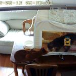 Snapshot_20190316_0957