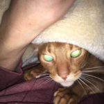 ‎iPhone-20190‎4‎16_‏2304-1