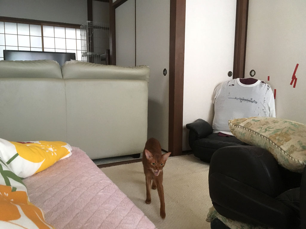 iPhone-20190402_1431-3