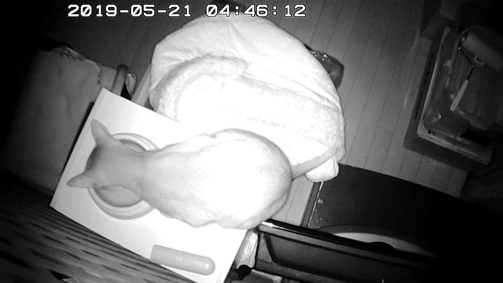 Snapshot_20190521_0446