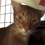 iPhone-20190427_0636-4