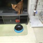 iPhone-20190429_2049-1