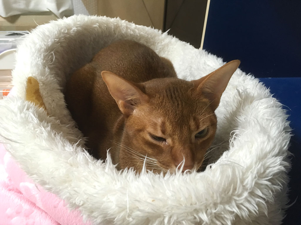 iPhone-20190501_1127-2