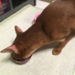 iPhone-20190502_2112-1