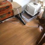 iPhone-20190506_0820-1