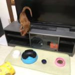 iPhone-20190517_2141-1