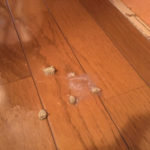 iPhone-20190527_0526-1