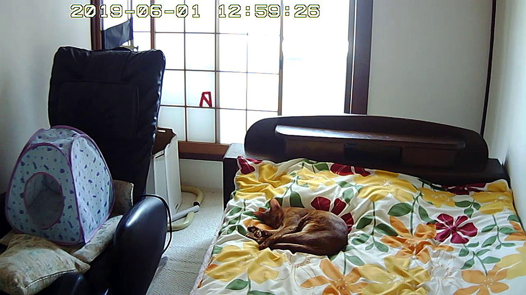 Snapshot_20190601_1259-2