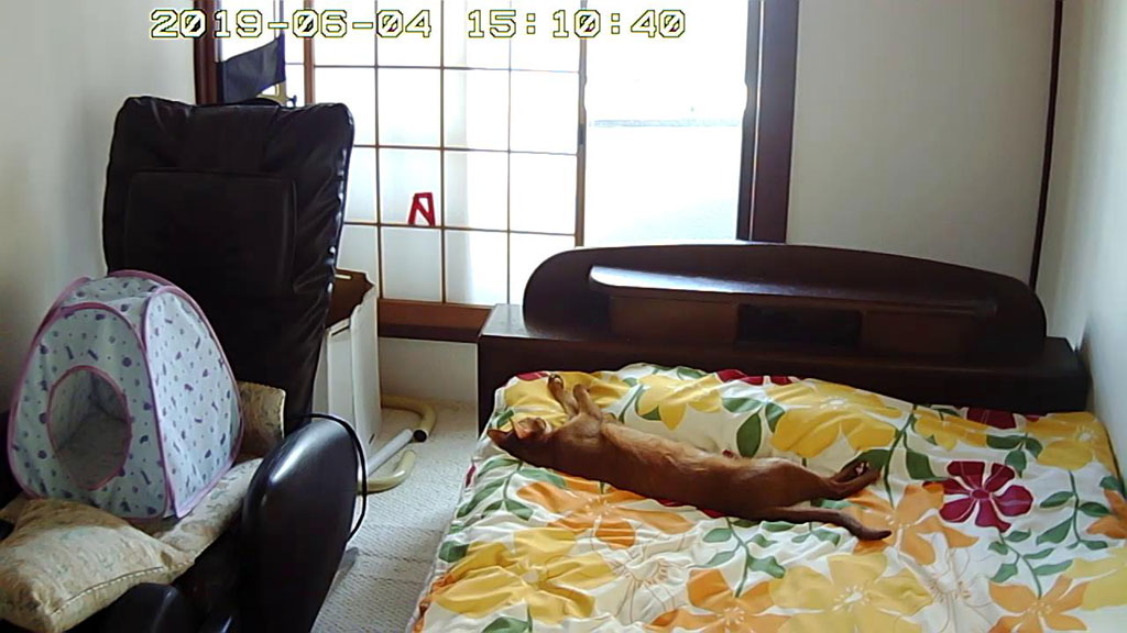 Snapshot_20190604_1510