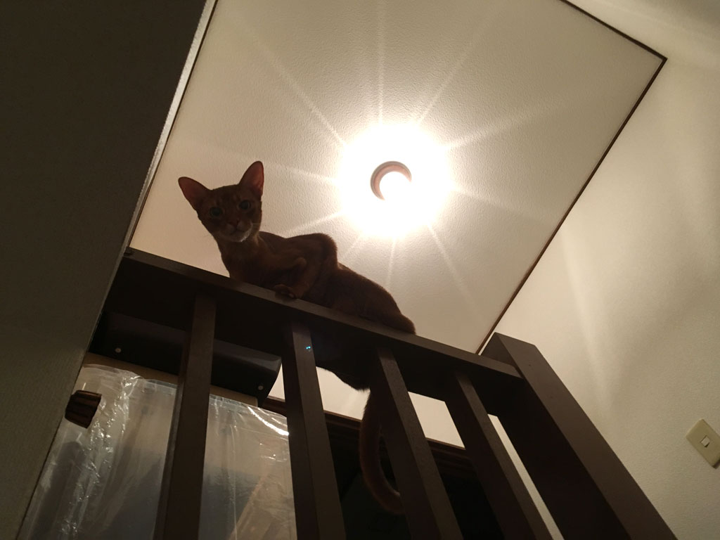 iPhone-20190529_2003-2