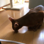 iPhone-20190604_0856-1