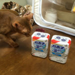 iPhone-20190604_1210