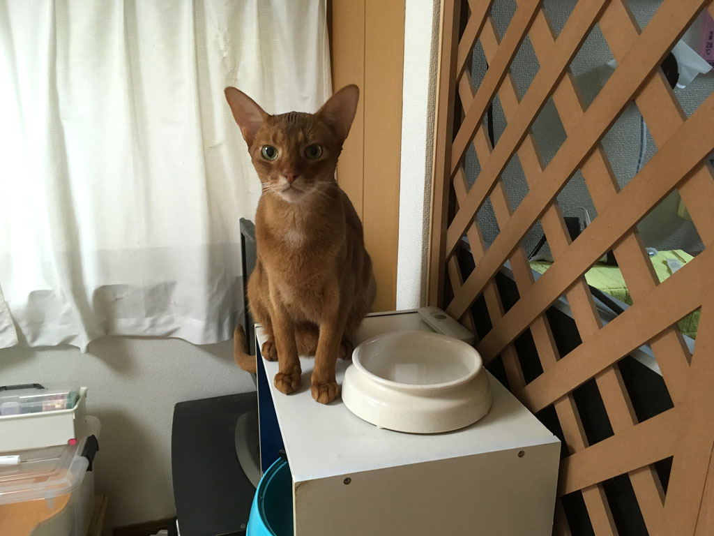 iPhone-20190605_1027