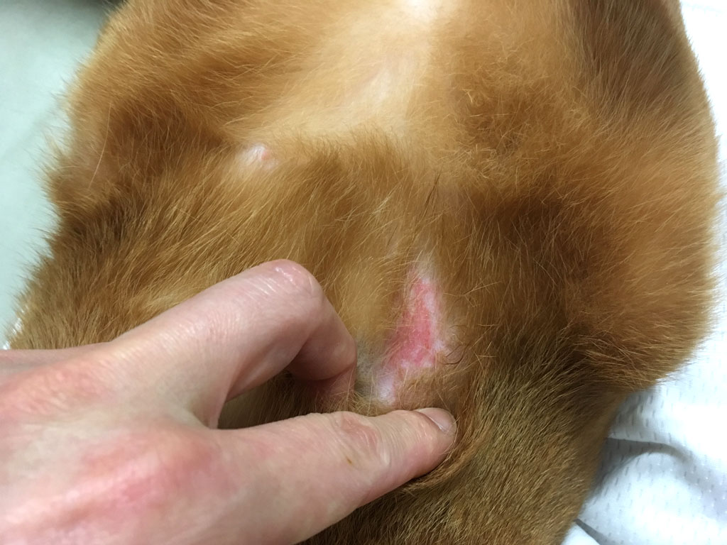 iPhone-20190607_1613-2