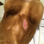 iPhone-20190608_2137-1