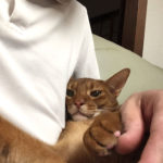 iPhone-20190614_2142-1