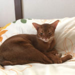 iPhone-20190617_1043-1