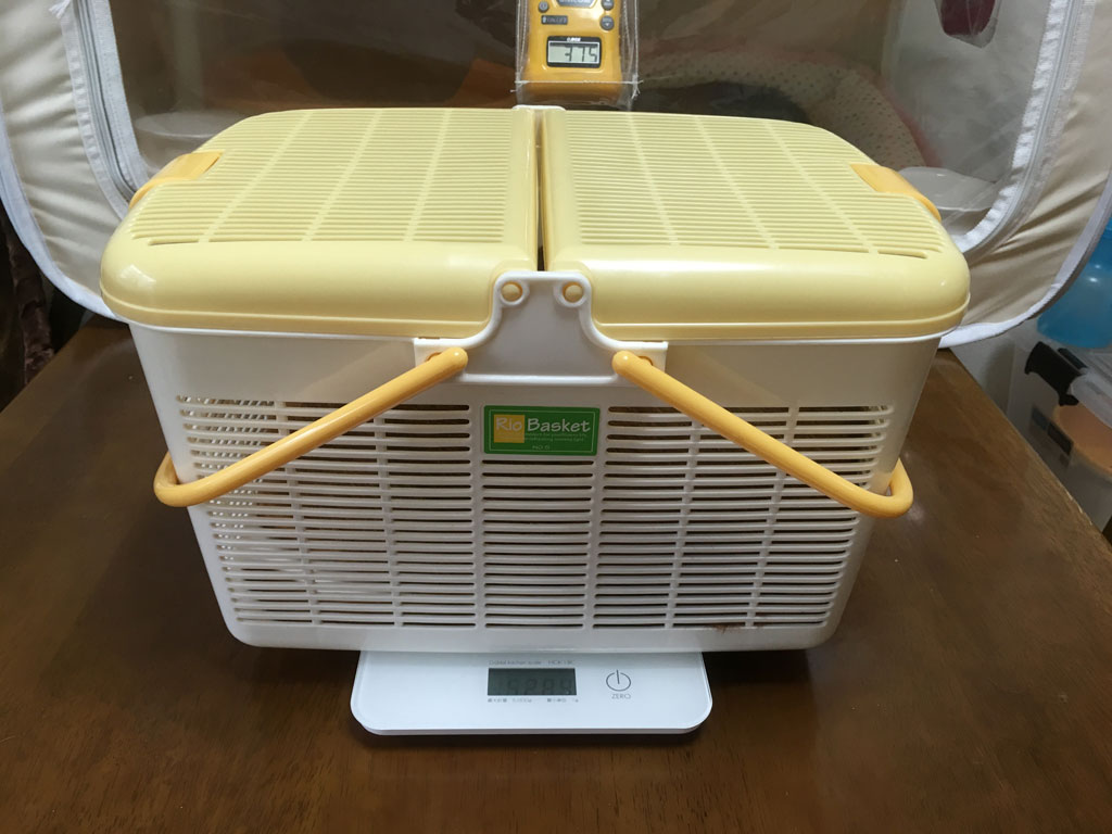 iPhone-20190703_0833-1