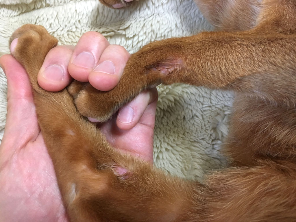 iPhone-20190809_1637-4