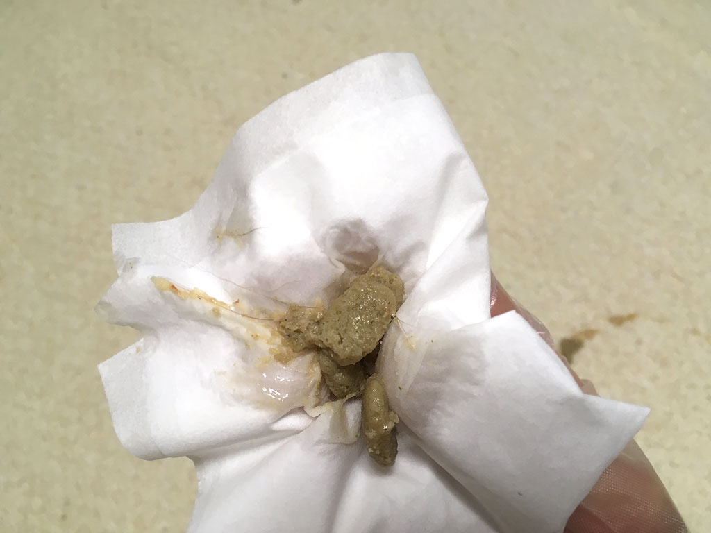 iPhone-20190817_1302-6