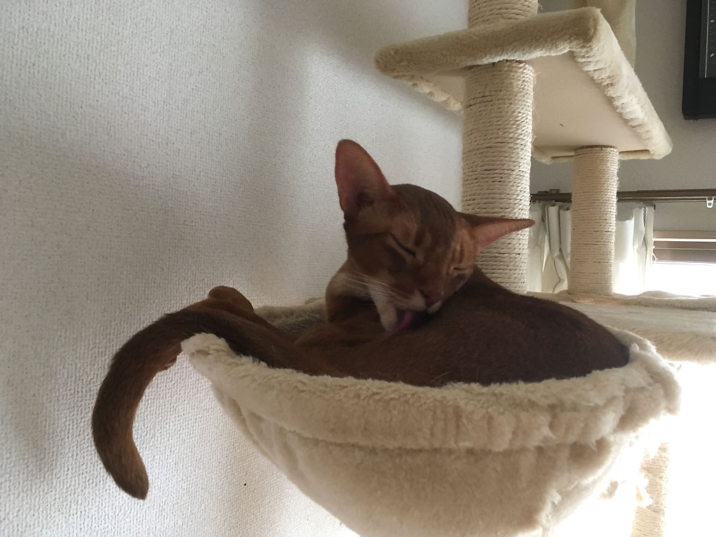 iPhone20190901_1235-2