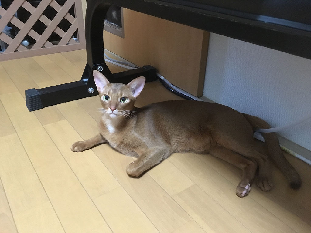 iPhone20190906_1806-2