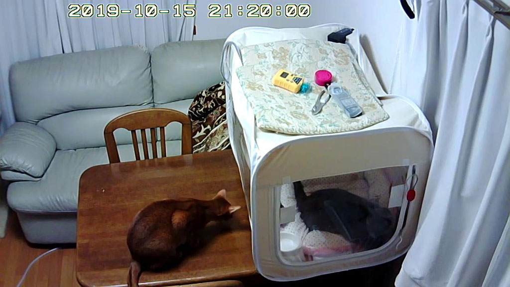 Snapshot_20191015_2120