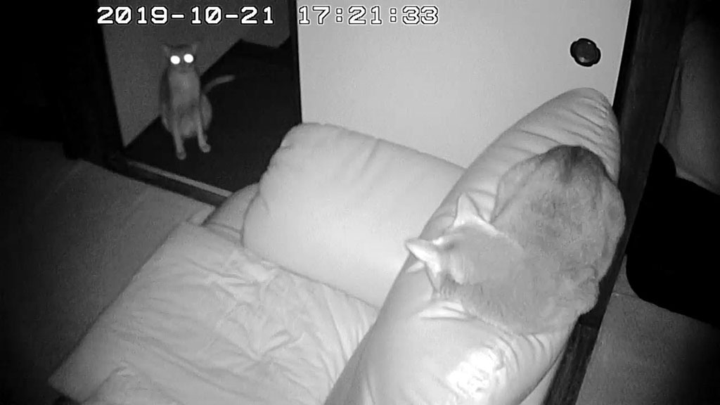 Snapshot_20191021_1720-4